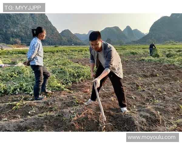 张昊的成长之路：从青涩少年到职场精英的蜕变与奋斗