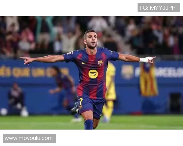 费兰托雷斯:从青涩小将到世界足球舞台的璀璨明星之路 费兰托雷斯:从青涩小将到世界足球舞台的璀璨明星之路