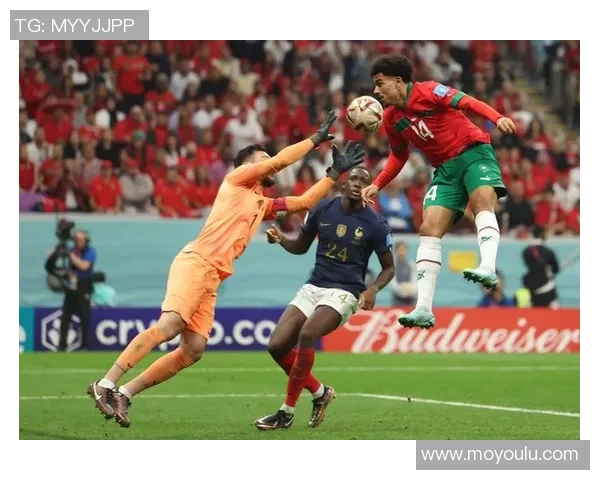 阿根廷与德国精彩对决直播全程回顾与分析 阿根廷与德国精彩对决直播全程回顾与分析